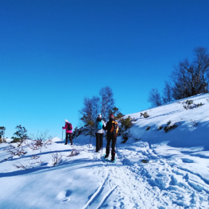 Vacaciones baratas con niños todo incluido en la nieve durante el puente de diciembre