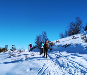 Vacaciones baratas con niños todo incluido en la nieve durante el puente de diciembre